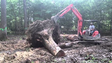 mini excavator pushing down trees|excavator knocks down trees.